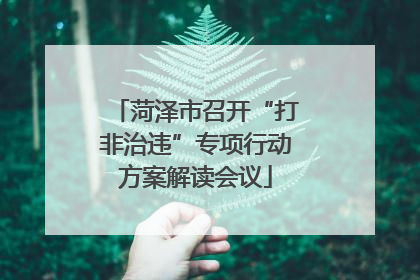 菏泽市召开“打非治违”专项行动方案解读会议