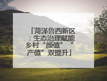 菏泽鲁西新区：生态治理赋能乡村“颜值”“产值”双提升