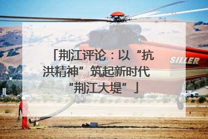 荆江评论：以“抗洪精神”筑起新时代“荆江大堤”