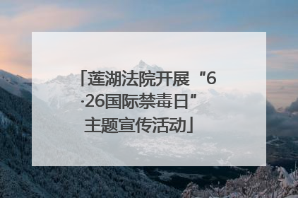 莲湖法院开展“6·26国际禁毒日”主题宣传活动