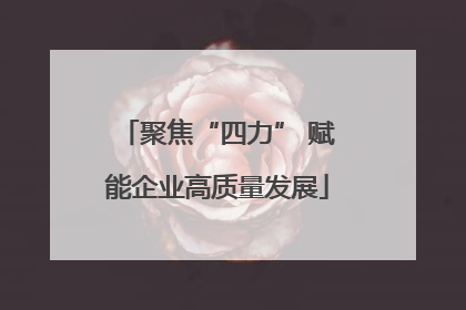 聚焦“四力” 赋能企业高质量发展