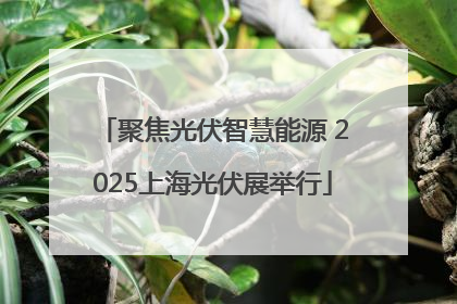 聚焦光伏智慧能源 2025上海光伏展举行