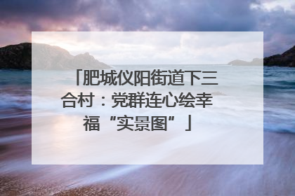 肥城仪阳街道下三合村：党群连心绘幸福“实景图”