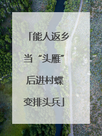 能人返乡当“头雁” 后进村蝶变排头兵