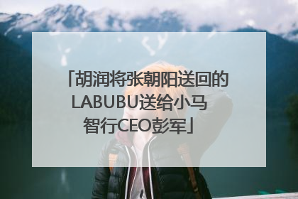 胡润将张朝阳送回的LABUBU送给小马智行CEO彭军