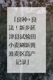 良种+良法！新乡延津县试验田小麦刷新黄淮麦区高产记录