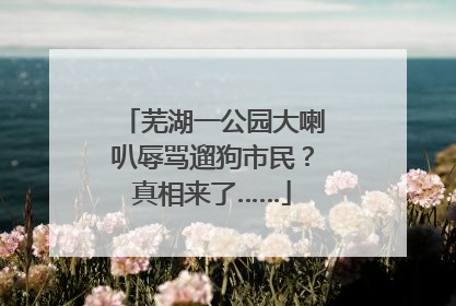 芜湖一公园大喇叭辱骂遛狗市民？真相来了……