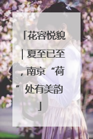 花容悦貌｜夏至已至，南京“荷”处有美韵