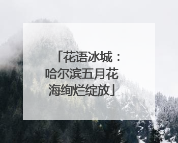 花语冰城：哈尔滨五月花海绚烂绽放
