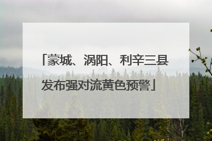 蒙城、涡阳、利辛三县发布强对流黄色预警