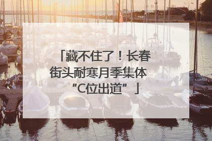 藏不住了！长春街头耐寒月季集体“C位出道”