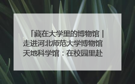 藏在大学里的博物馆｜走进河北师范大学博物馆天地科学馆：在校园里赴一场“宇宙之约”