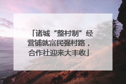 诸城“整村制”经营铺就富民强村路，合作社迎来大丰收