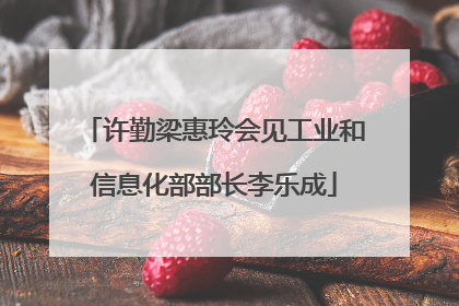 许勤梁惠玲会见工业和信息化部部长李乐成