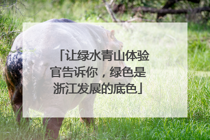 让绿水青山体验官告诉你，绿色是浙江发展的底色