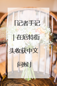 记者手记｜在厄特街头收获中文问候