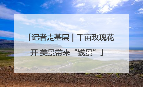 记者走基层｜千亩玫瑰花开 美景带来“钱景”
