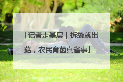 记者走基层｜拆袋就出菇，农民育菌真省事