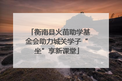 衡南县火苗助学基金会助力城关学子“坐”享新课堂