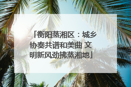 衡阳蒸湘区：城乡协奏共谱和美曲 文明新风劲拂蒸湘地