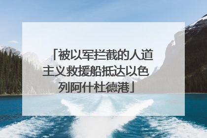被以军拦截的人道主义救援船抵达以色列阿什杜德港