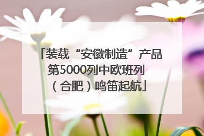 装载“安徽制造”产品 第5000列中欧班列（合肥）鸣笛起航