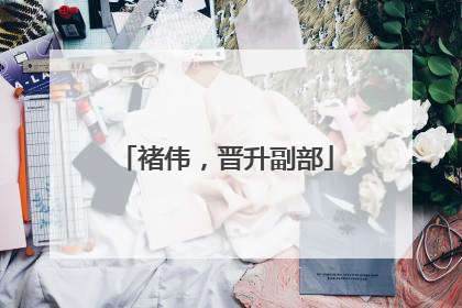 褚伟，晋升副部