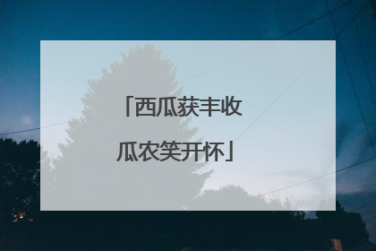 西瓜获丰收 瓜农笑开怀