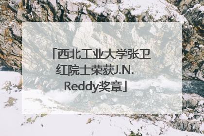 西北工业大学张卫红院士荣获J.N.Reddy奖章