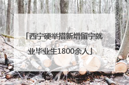西宁硬举措新增留宁就业毕业生1800余人