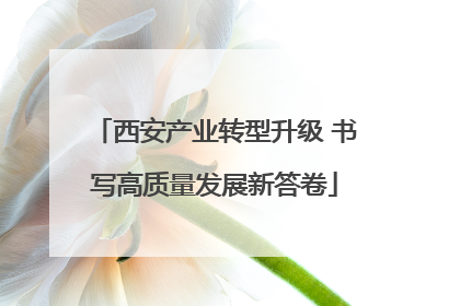 西安产业转型升级 书写高质量发展新答卷