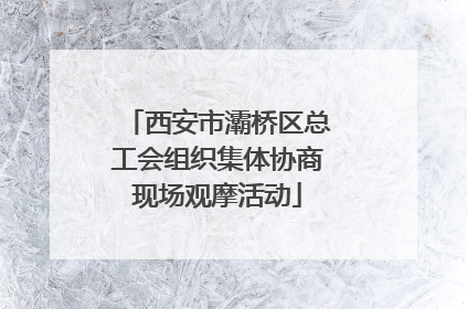 西安市灞桥区总工会组织集体协商现场观摩活动