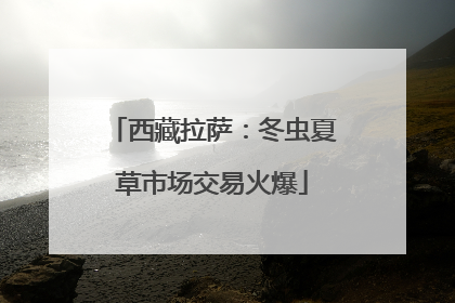 西藏拉萨：冬虫夏草市场交易火爆