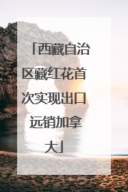 西藏自治区藏红花首次实现出口 远销加拿大