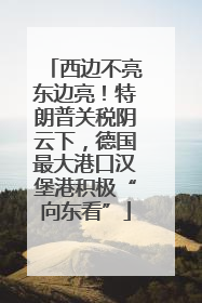西边不亮东边亮！特朗普关税阴云下，德国最大港口汉堡港积极“向东看”