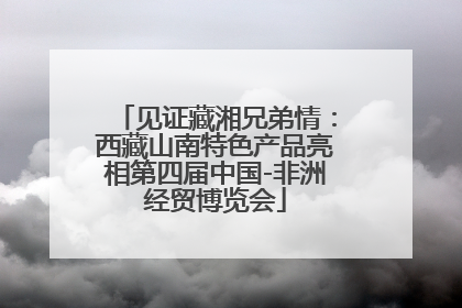 见证藏湘兄弟情：西藏山南特色产品亮相第四届中国-非洲经贸博览会