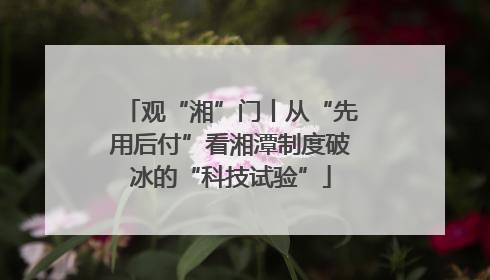 观“湘”门丨从“先用后付”看湘潭制度破冰的“科技试验”