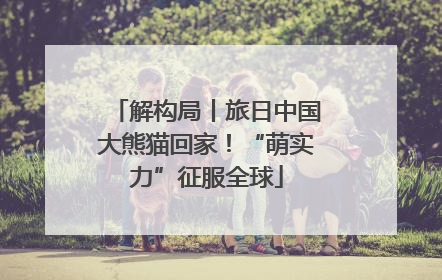 解构局丨旅日中国大熊猫回家！“萌实力”征服全球