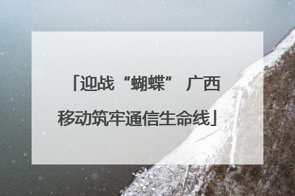 迎战“蝴蝶” 广西移动筑牢通信生命线