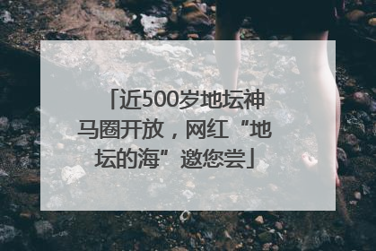 近500岁地坛神马圈开放，网红“地坛的海”邀您尝