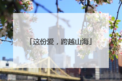 这份爱，跨越山海