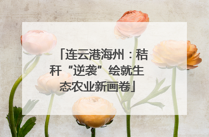 连云港海州：秸秆“逆袭”绘就生态农业新画卷
