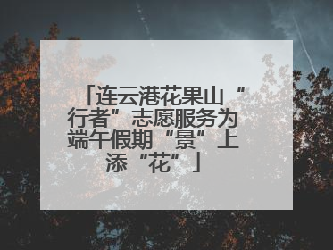 连云港花果山“行者”志愿服务为端午假期“景”上添“花”