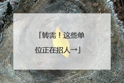 转需！这些单位正在招人→