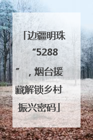 边疆明珠“5288”，烟台援藏解锁乡村振兴密码