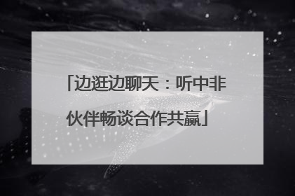 边逛边聊天：听中非伙伴畅谈合作共赢