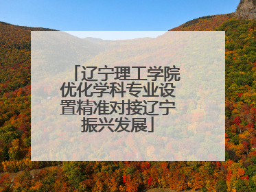 辽宁理工学院优化学科专业设置精准对接辽宁振兴发展