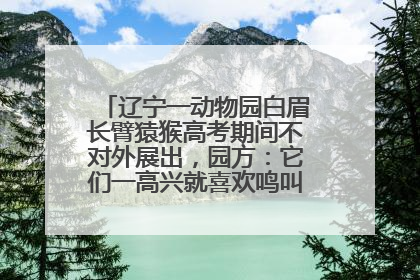辽宁一动物园白眉长臂猿猴高考期间不对外展出，园方：它们一高兴就喜欢鸣叫，怕影响考试