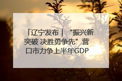 辽宁发布｜“振兴新突破 决胜勇争先”营口市力争上半年GDP增长6%左右