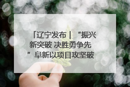辽宁发布｜“振兴新突破 决胜勇争先”阜新以项目攻坚破解发展瓶颈 经济发展实现良好开局